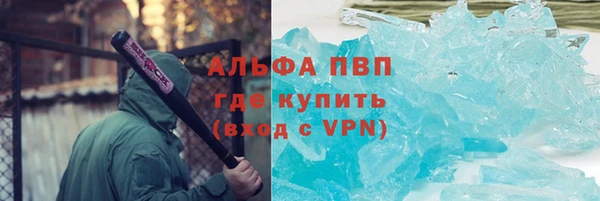 трава Инта
