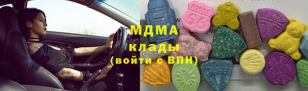 трава Инта
