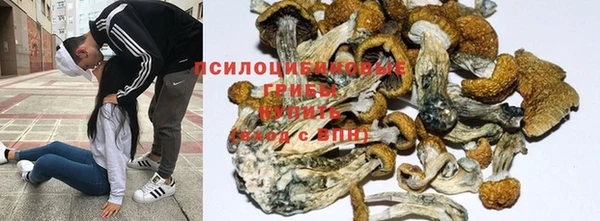 гашишное масло Зеленокумск